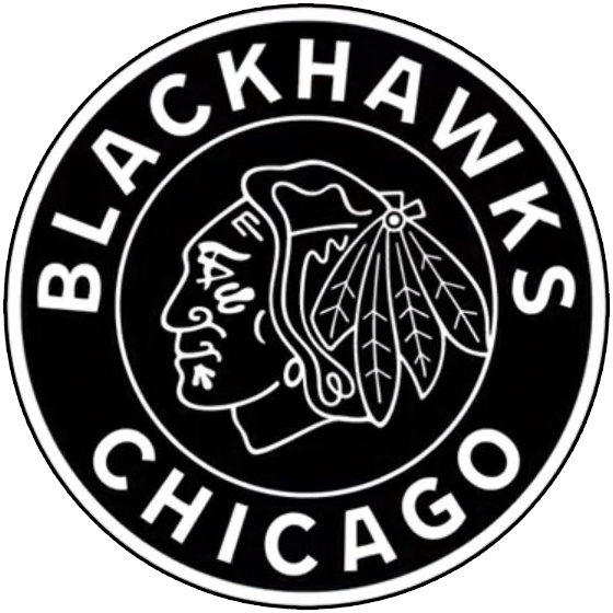 Chicago Blackhawks 2019 Special Event Logo iron on heat transfer...